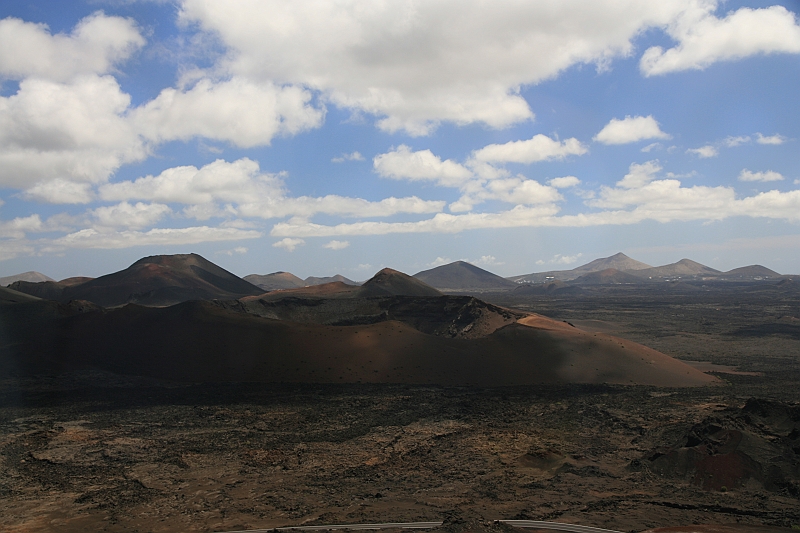 Kanary_2010 139